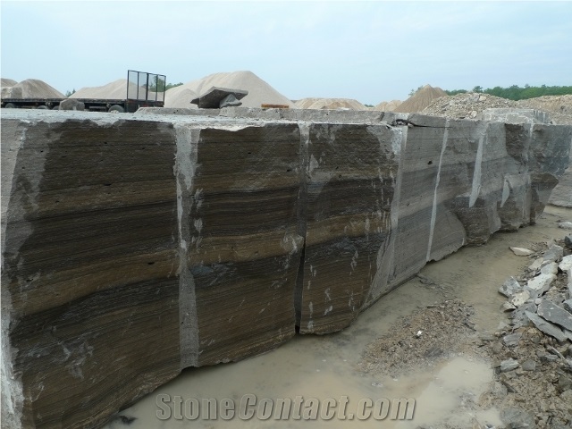 Eramosa Limestone Block,Canada Brown Limestone