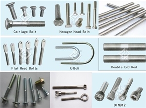 Stainless Steel Bolt Nut Stainless Steel Bolt Nut
