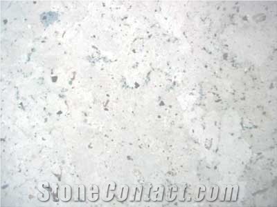 Piedra De Campaspero Limestone Tile Honed Finish