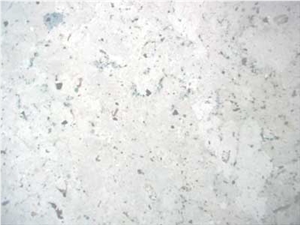 Piedra De Campaspero Limestone Tile Honed Finish Piedra De Campaspero Limestone Tile Honed Finish