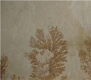 Fossil Mint Sandstone Tile,India Beige Sandstone Fossil Mint Sandstone Tile,India Beige Sandstone