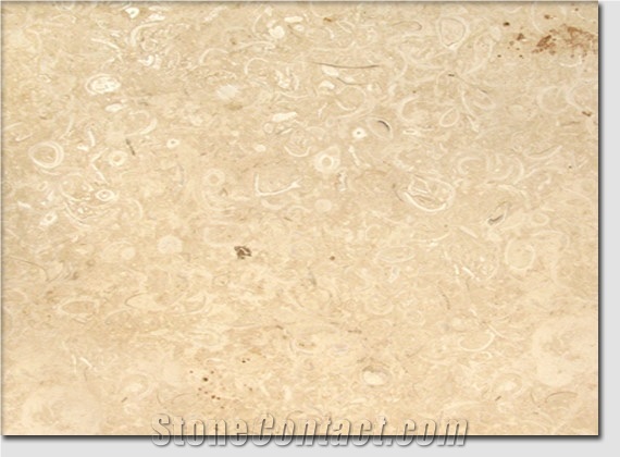 Mexico Conchuela Coral Stone Tiles
