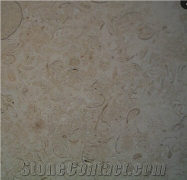 Conchuela Limestone Slabs & Tiles, Mexico Beige Limestone