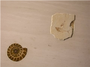 Beige Limestone Tile