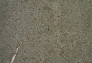 Oeland Gra G2h Limestone Tile,Sweden Grey Limestone