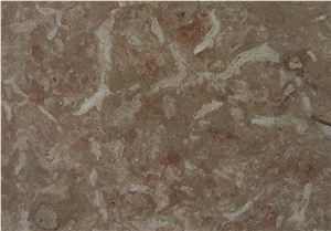 Oeland Graflammig Limestone Tiles, Sweden Brown Limestone Oeland Graflammig Limestone Tiles, Sweden Brown Limestone