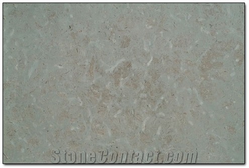 Borghamn Ljusgra Limestone Slabs & Tiles,Sweden Grey Limestone