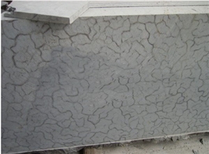 Turtle Shell Limestone Slabs