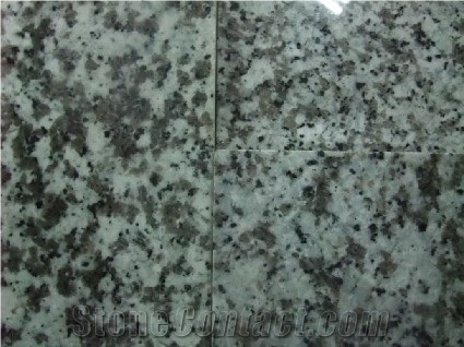 G439 Granite Slabs & Tiles, China Grey Granite