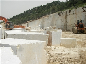 Fossil Beige Limestone Blocks