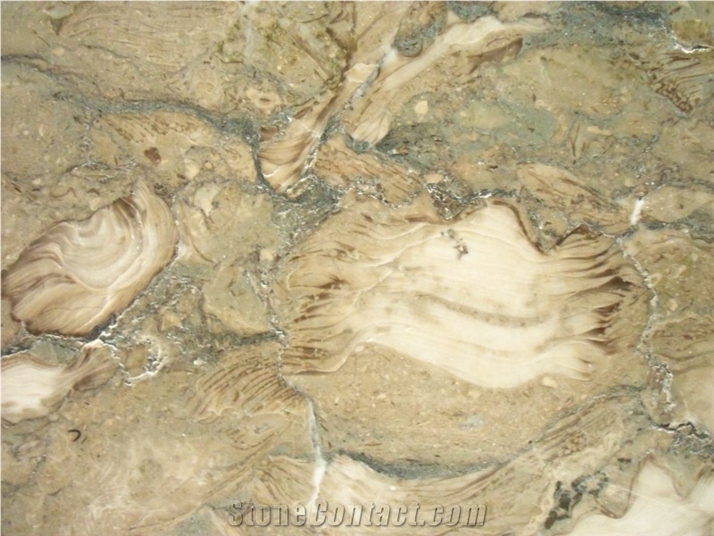 Fossil Beige Marble Tiles&Slabs