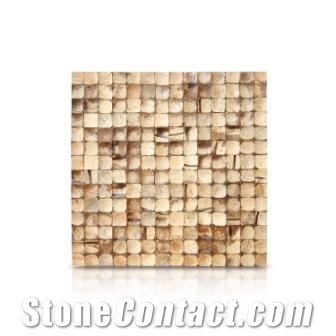 Coco Shell Limestone Classic Mosaic Collection