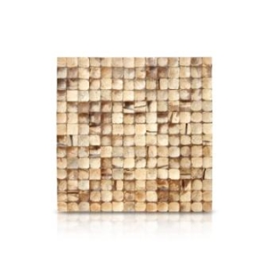 Coco Shell Limestone Classic Mosaic Collection