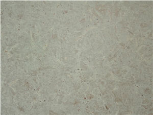 Borghamn Ljusgra Limestone Slabs & Tiles,Sweden Grey Limestone