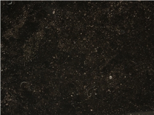 Petit Granit Black Limestone Tile