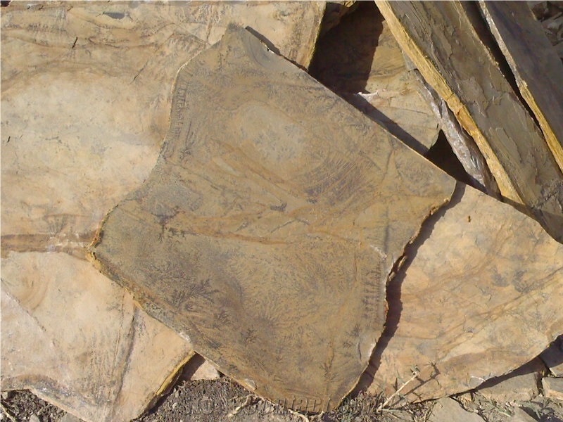 Fossil Stone, Beige Quartzite Flagstone
