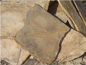 Fossil Stone, Beige Quartzite Flagstone