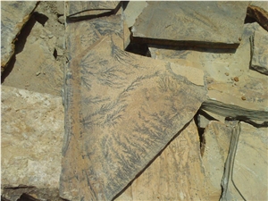 Fossil Stone, Beige Quartzite Flagstone