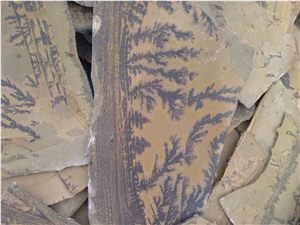 Fossil Stone Landscaping Stone,Flagstone