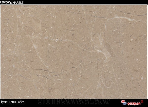 Lotus Coffee Marble Slabs & Tiles，Turkey Beige Marble