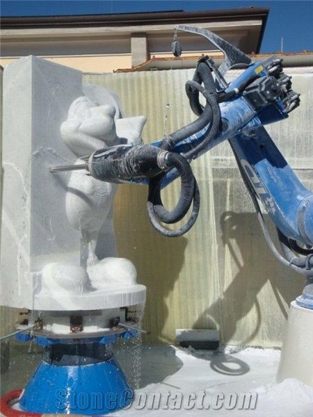 T&D Robotics Lapisystem