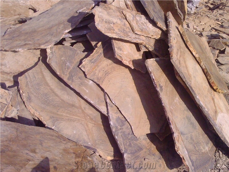 Fossil Stone, Quartzite Flagstone