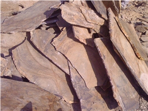 Fossil Stone, Quartzite Flagstone