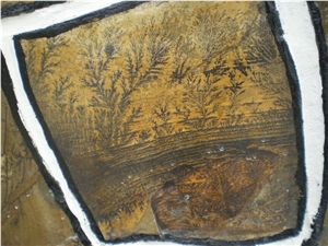 Fossil Stone, Quartzite Flagstone