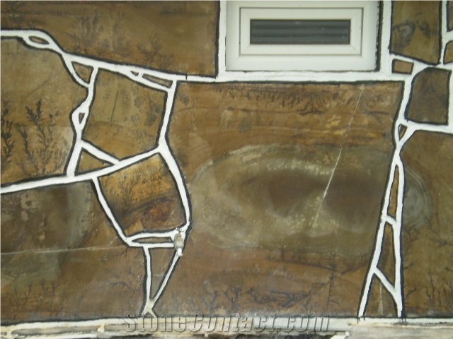 Fossil Stone, Quartzite Flagstone