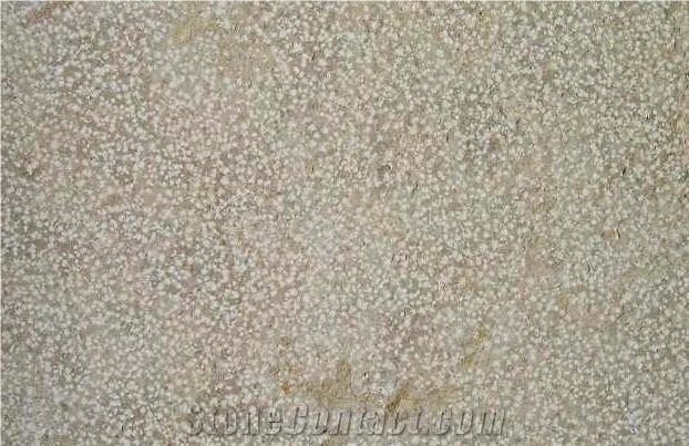 Laegern Kalkstein Limestone Slabs & Tiles, Switzerland Beige Limestone