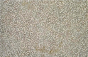 Laegern Kalkstein Limestone Slabs & Tiles, Switzerland Beige Limestone