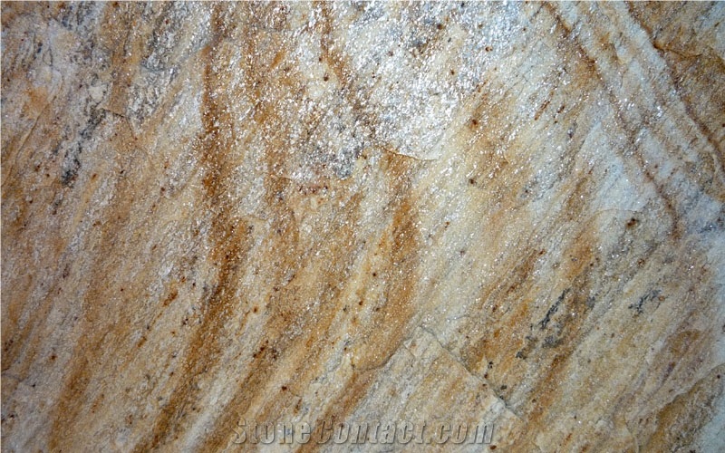 Bulgaria Yellow Gneiss Slabs & Tiles