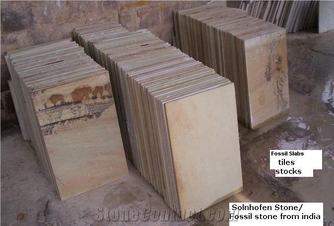 Mint Fossil Sandstone Tile