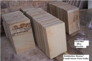 Mint Fossil Sandstone Tile