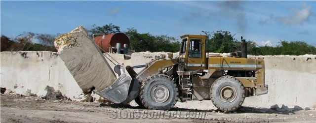 Coral Stone Blocks, Dominican White Coral Stone