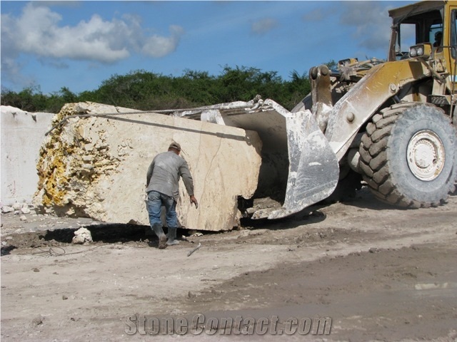 Coralina Blocks, Dominican Republic Beige Limestone