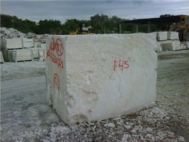 Coralina Gold Coral Stone Block, Dominican Republic Beige Coral Stone