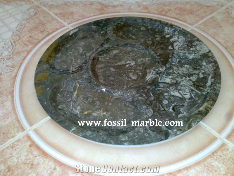 Dish Fossil Limestone Kitchen Accessories