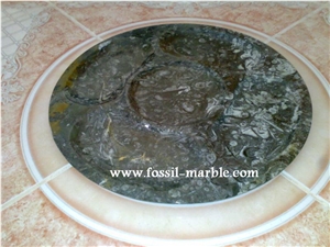 Dish Fossil Limestone Kitchen Accessories