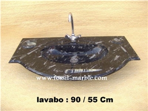 Fossil Black Limestone Basin