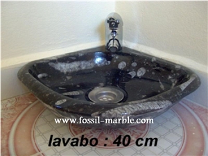 Fossil Black Limestone Sinks, Fossil Limestone Black Marble