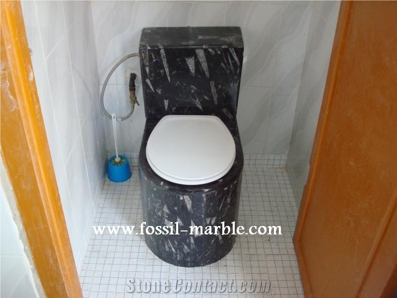 Fossil Black Limestone Sinks, Fossil Limestone Black Marble