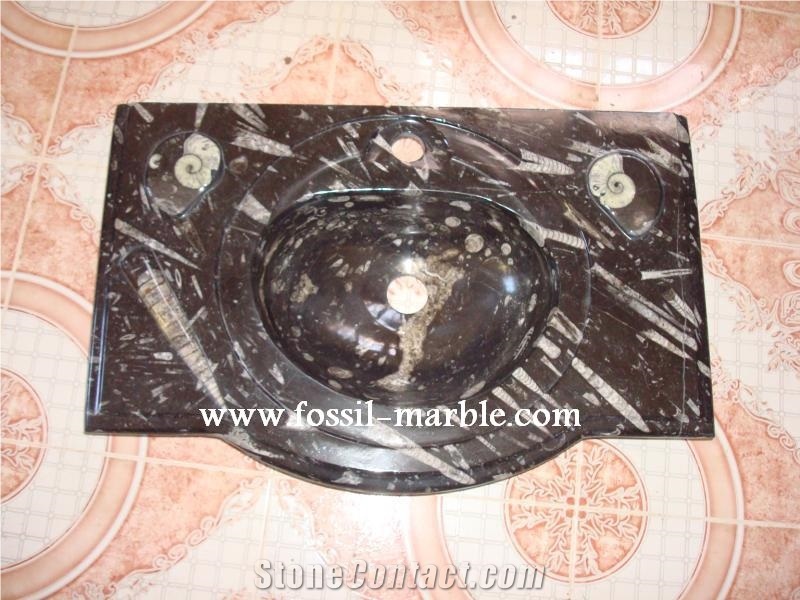 Fossil Black Limestone Sinks, Fossil Limestone Black Marble