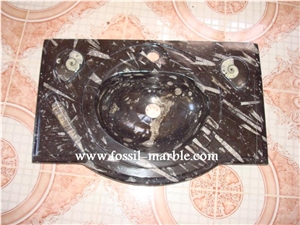 Fossil Black Limestone Sinks, Fossil Limestone Black Marble
