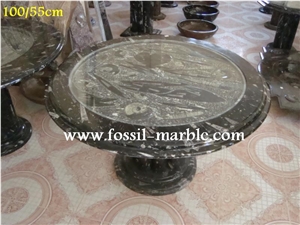 Fossil Black Limestone Tables