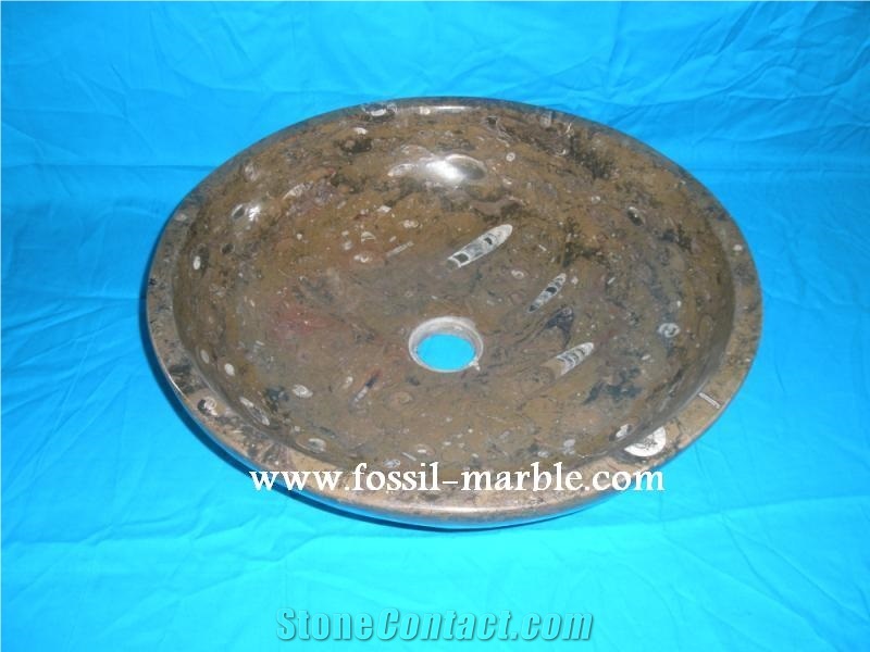 Fossil Brown Limestone Sink