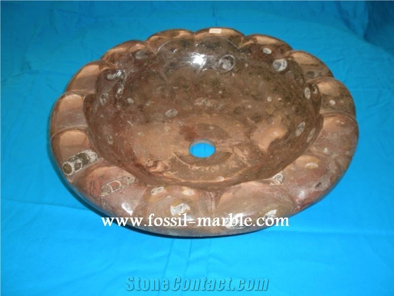 Fossil Brown Limestone Sink