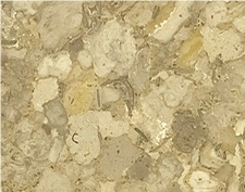 Gemstone Marble Tile, Pakistan Brown Marble