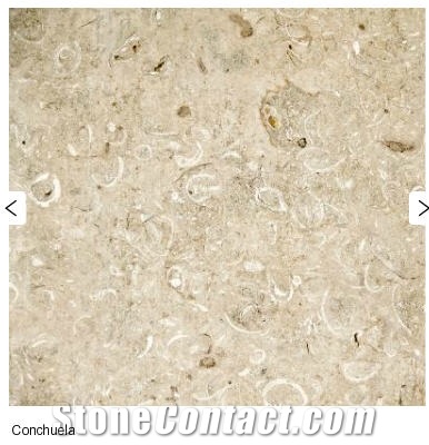 Conchuela Limestone Tiles, Mexico Beige Limestone