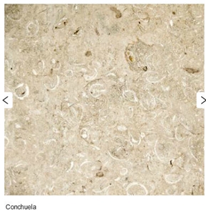 Conchuela Limestone Tiles, Mexico Beige Limestone